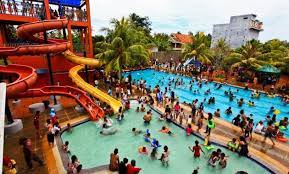 Kebun raya batam harga tiket: Wisata Kebun Raya Batam Nongsa Letak Alamat Lokasi Taman Bunga Dimana Jejakpiknik Com