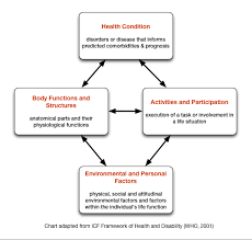 Documentation In Health Care Key Issues