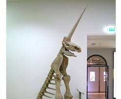 We did not find results for: Tertipu Selama 350 Tahun Orang Jerman Percaya Ini Unicorn Viral