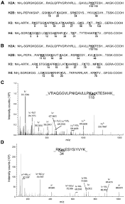 Histone Deacetylase Inhibitor Induced Cell Death In Bladder