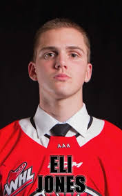 Pembina Valley Hawks