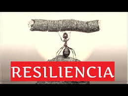 105 frases de resiliencia superate e inspirate : Que Es La Resiliencia Youtube