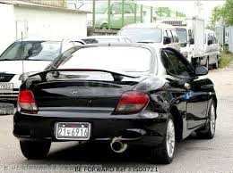 Image result for Wild Rose 1999 Tiburon