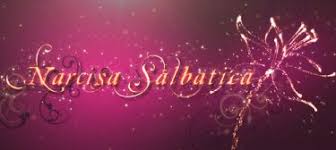 „narcisa sălbatică nu este o poveste cu personaje miraculoase şi aventuri supranaturale. Seriale Online Tv Gratis Subtitrate In Limba Romana Narcisa Salbatica Episoade Video