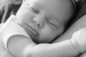 Casey Beal's Instagram, Twitter & Facebook