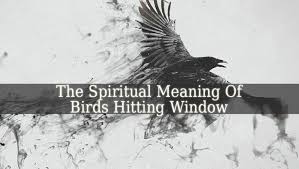 Black And White Bird Spiritual Meaning Spiritual Meaning Of Birds Hitting Window Spiritual Meaning Spirit Animal Meaning Meant To Be