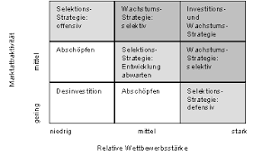 Du hast in excel ein kleines formular mit ein paar eingabefeldern definiert und möchtest sicherstellen, dass bestimmte felder erst dann ausgefüllt werden können, wenn zuvor daten in einem anderen feld eingegeben. Portfolio Analyse Neun Felder Matrix