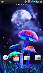 Find the perfect magic mushroom stock photos and editorial news pictures from getty images. Animated Mushroom Wallpaper