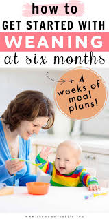 Weaning Baby Meal Plan And Routine At Six Months The Mummy Bubble