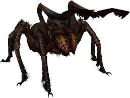 These arachnids became infamous after the gulf war. Frostbite Spider Skyrim Elder Scrolls Fandom