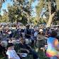 Concerts in the Park