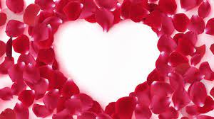 Red Heart Shaped Rose Petals Beautiful Dreamy Photography Wedding Bac Rose Petals Birthday Wishes Flowers Red Rose Petals