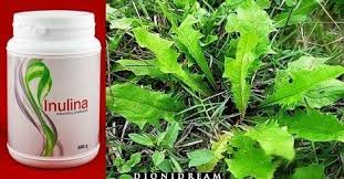 I suoi benefici e i suoi effetti collaterali? Inulina Ecco La Sostanza In Grado Di Risolvere Molti Problemi Intestinali