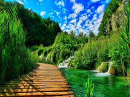 We did not find results for: Beautiful Wallpapers Of Nature For Mobile Wallpaper Cave