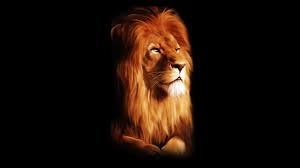 Search free 3d lion wallpapers on zedge and personalize your phone to suit you. Danger Lion Wallpaper Hd Download