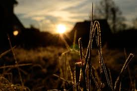 Résultat de recherche d'images pour "best ubuntu wallpaper ever"