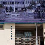 九龍塘沙福道 九龍塘站 1980 s history pictures hong kong history