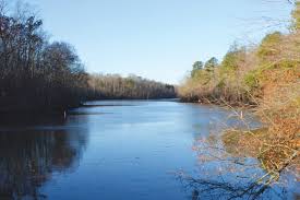 View listing photos, review sales history, and use our detailed real estate filters to find the perfect place. Swift Creek Important To Chesterfield County Chesterfield Observer