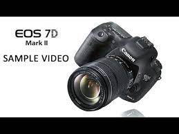 Canon 7d Mark Ii Sample Video For Wildlife Photographers Best Canon Camera Digital Single Lens Reflex Eos