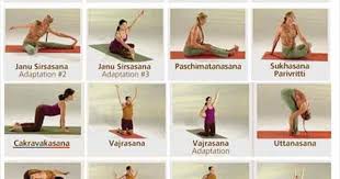 Urban Wired Svaroopa Yoga Types Of Yoga Yoga Asanas