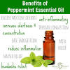 To use the oil without the risk of causing skin irritation, mix several drops of peppermint oil with two tablespoons of olive oil. 1