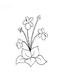 Imprimer nature fleurs numéro 3121. Coloriages De Fleurs