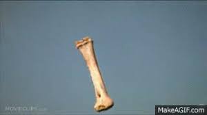 (that famous cut between the bone and the satellite is so great because in an instant you've told the. Ape Throwing Bone 2001 A Space Odyssey On Make A Gif
