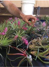 Maybe you would like to learn more about one of these? Wholesale