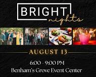 Big Brothers Big Sisters Bright Nights