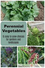 Native to mexico and guatemala, this hardy perennial produces vibrant red flowers attractive to hummingbirds. Perennial Vegetables 15 Easy To Grow Choices For The Garden