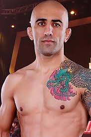 Mohammad Reza "Iron Tiger" Naseri MMA Stats, Pictures, News, Videos,  Biography
