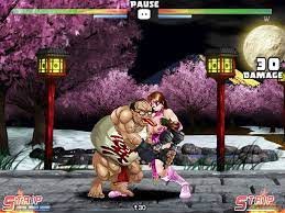 Buy cheap Strip Fighter 5: Chimpocon Edition cd key - lowest price