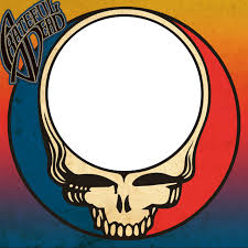 Maybe you would like to learn more about one of these? Grateful Dead Stealie Logo Logodix