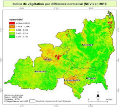 Image result for Marquesia macroura