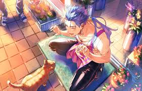 It's currently cut in pieces for a 200x200x180 buildplate, but you will also find the full stl in case you want to slice it yourself. Wallpaper Cat Cat Lancer Guy Lancer Fate Stay Night Fate Grand Order Cu Chulainn Images For Desktop Section Syonen Download
