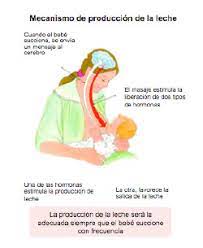 Lactancia Como Hacer Para Que Todo Salga Bien Infogen
