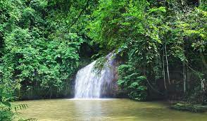 Meski tidak terlalu tinggi dan kolamnya juga tidak terlalu luas. Oleh Oleh Dari Balikpapan Air Terjun Berambai Samarinda