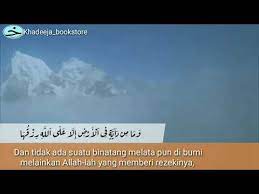 Surah hud(هود) 11:6 there is no moving creature on earth whose provision is not guaranteed by allah. Surah Hud Ayat 6 Youtube
