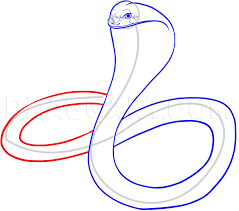 How To Draw A King Cobra, Step By Step, Drawing Guide, By Dawn - Dragoart