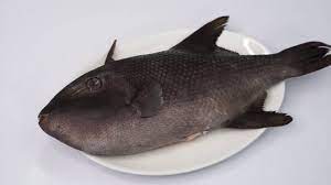 Kamu bisa membuat opor ayam sebagai hidangan spesial untuk makan bersama keluarga. Lezat Ikan Ayam Ayaman Bakar Youtube