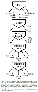Optimizing An Aversion Feeding Therapy Protocol For A Child