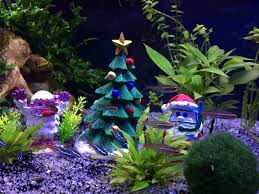 Alibaba.com offers 1,329 christmas aquarium decoration products. Fish Tank Christmas Lights Cheap Buy Online