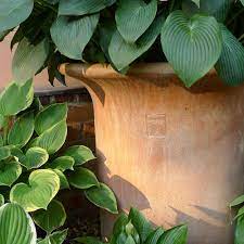 With a beauty that transcends fashion, our pieces are more than … Italian Terrace Fine Terracotta Pots