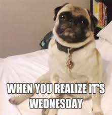 Funny wednesday hump day memes. 75 Funny Wednesday Memes To Cheer You Up With Pictures Boom Sumo
