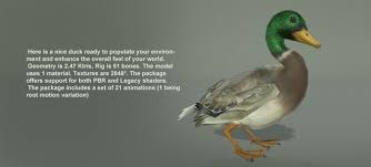 Birds Pack Animals Cute Drawings Lion And Lioness