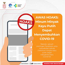 Karena itu, kayu putih punya beberapa persamaan karakteristik dengan yang dimiliki. Minum Minyak Kayu Putih Dapat Menyembuhkan Covid 19 Masyarakat Umum Covid19 Go Id