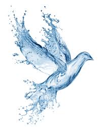 Image result for water