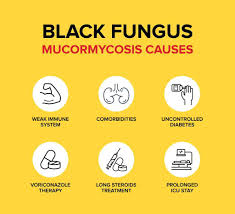 Check spelling or type a new query. Black Fungus Infection Causes Symptoms Treatment Ketto