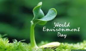 Hari lingkungan hidup sedunia dicanangkan pbb demi menggugah kesadaran banyak orang untuk menjaga lingkungan dan menciptakan ekosistem hijau yang lestari. Selamat Hari Lingkungan Hidup Sedunia Denpasarkota Go Id