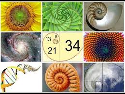 Maybe you would like to learn more about one of these? The Golden Mean Explained The Golden Mean